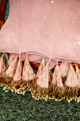 Dupatta with Tassels